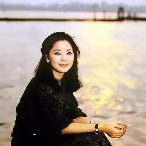 岁月从不败美人,邓丽君最美歌曲80首,值得一生慢慢听