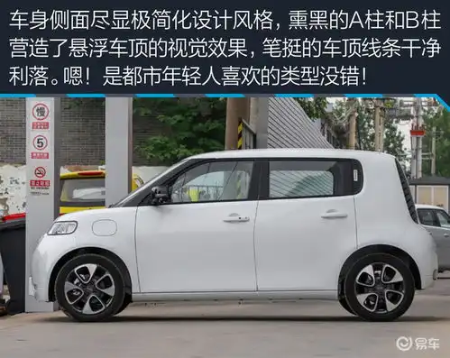 这只小猫值得一吸95后女生解析欧拉白猫
