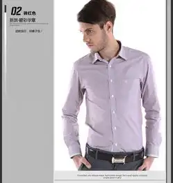 2013春夏新品帝牌男装休闲衬衫男士长袖条纹衬衫衬衣713101