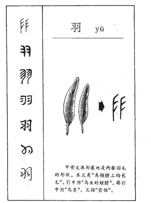 带羽字让小鹿乱撞的女孩名字,你碰到过吗