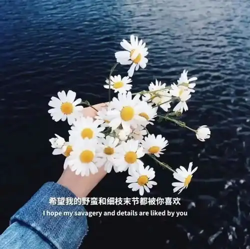 女生专属干净背景图