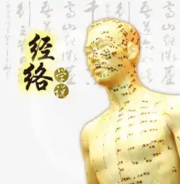 中医经络学说素材图片免费下载高清图片pngpsd千库网图片编号7294886