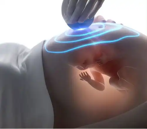 生男生女取决于精子科学家发现卵子也有选择权,但结果却很意外