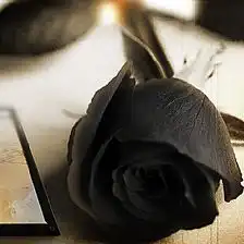 玫瑰花语手工制作方法大全