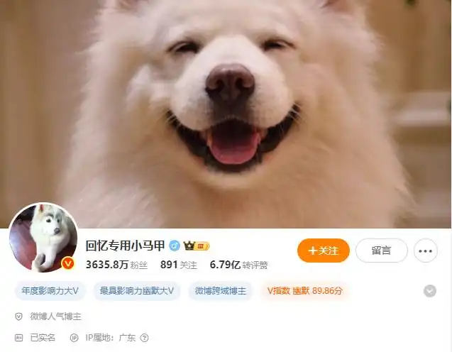 暗示20岁女孩与花甲老人存在不正当关系,千万粉丝网红致歉