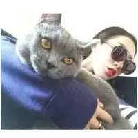 qq头像爱猫女女生