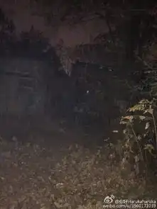 网友实地探访龙泉闹鬼废弃精神病医院,现场令人...