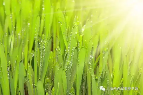 孩子厌学的心理分析与家庭应对四