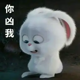 初见姐姐的小护卫照片初见姐姐的小护卫相册大全yy官方