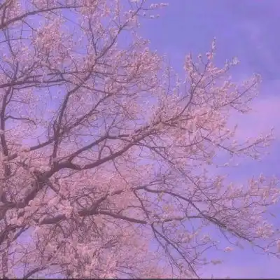 羽曦祝你前程似锦我一生高攀不风景静物头像我要个性网
