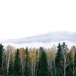 2020禾木风景区门票,喀纳斯禾木风景区游玩攻略,禾木风景区游览攻略路线地址门票价格