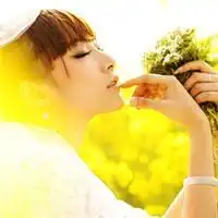 谁能给我找点像下面这种唯美的图片