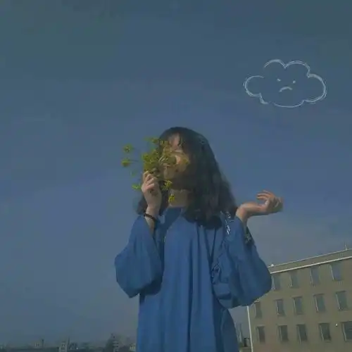 头像你与星河皆可收藏