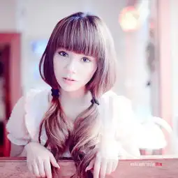 关注的团队zcool
