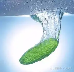 三伏天吃什么养生专家告诉你这样吃更有胃口