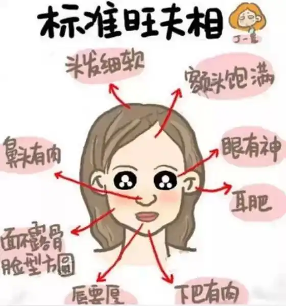 女人旺不旺夫看鼻子就知道了,不看绝对后悔