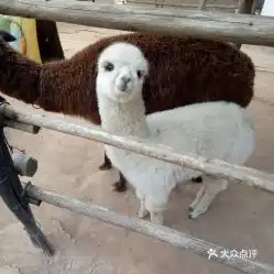 电话地址价格营业时间文化娱乐城动植物园团购德阳周边游