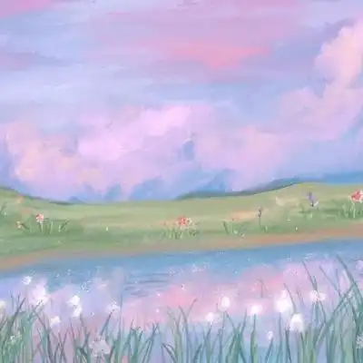 战狼28app