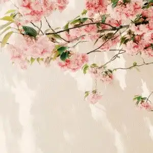 好风景做微信头像,唯美好看适合做头像的漂亮图片