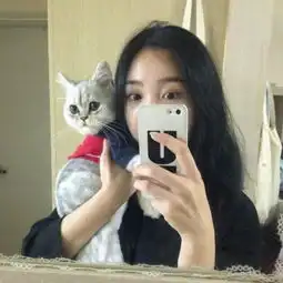 遇见你的时候所有星星都落到我头上