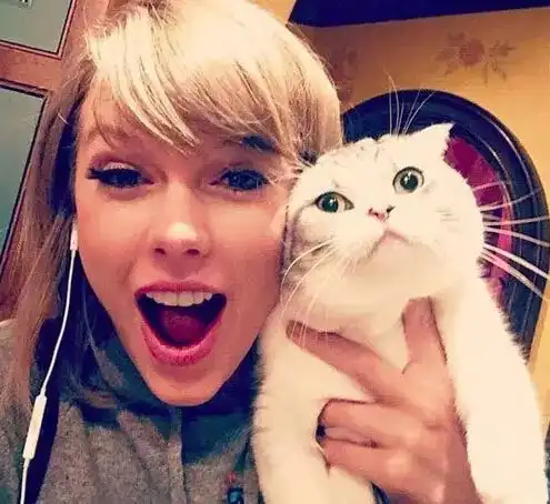 猫女的历史根源