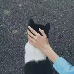 高大上白富美手控微信头像