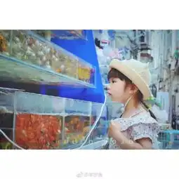 这个3岁上海小女孩卖了一次萌,竟然红遍全球了