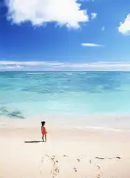 大学男女都向往的浪漫海滩