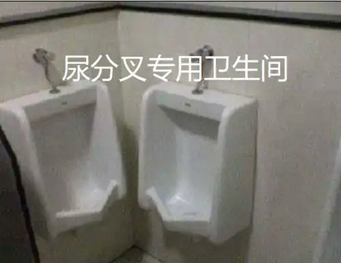 美国崛起的第一步,造厕所