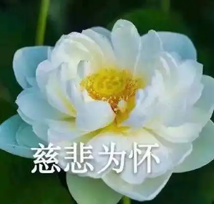 高中生恋爱中的女生,有些行为比直男还作死男生必看,女生必改