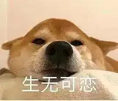 非常显白的平价口红推荐这些口红品牌学生党和吃土女孩的最爱
