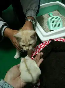 你们拍过最萌的动物照片是什么
