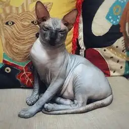 都是自拍,怎样在朋友圈里脱颖而出