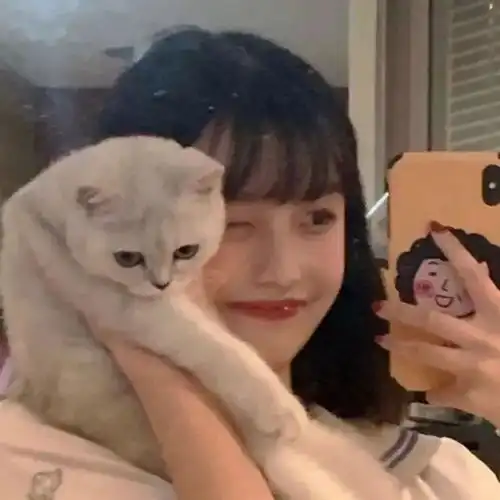 头像抱猫女头