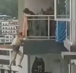 遵义女子准备从自家阳台跳下去,她的母亲拽了10多分钟,悲剧还是发生了