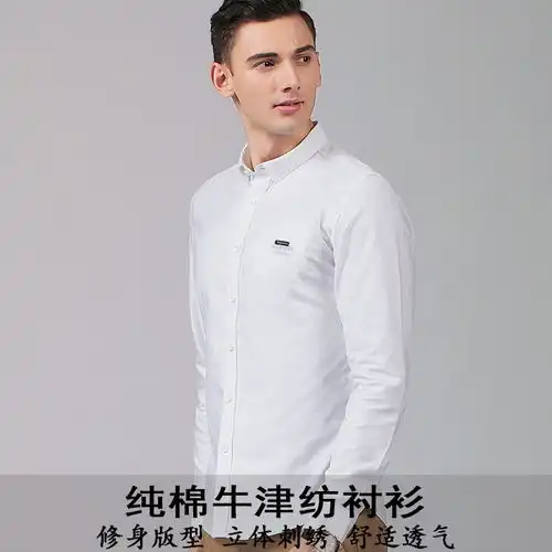 汤河之家2020春夏男装长袖牛津纺衬衫男士修身纯棉刺绣男式衬衣男新款a