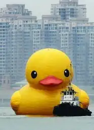 赴港自由行穷游也要以安全为前提