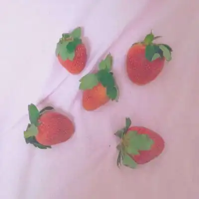ins草莓背景你和草莓一样甜听风景静物头像我要个性网