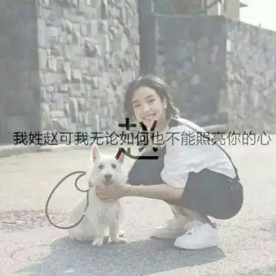 赵姓的微信头像图片女生系列漂亮的赵字我姓赵的专属句子图片大全