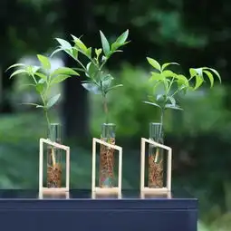 把一切看淡,心就不累了