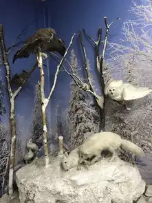 冰天雪地的俄罗斯圣诞之旅
