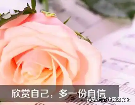 新年发表说说的句子,干净有气质,入眼即醉
