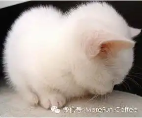 人生若只如初贱萌死了