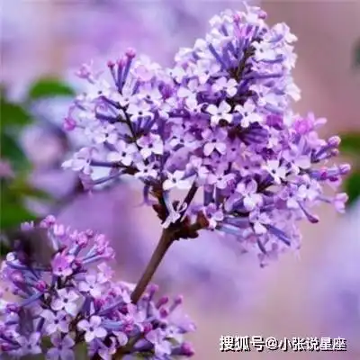 天生有福的3大生肖女,年龄越大越迷人,儿女双全,旺夫发财