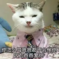 抖音蜜桃猫咪表情包微信头像图片大全