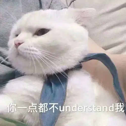 每日表情丨猪猪女孩必备