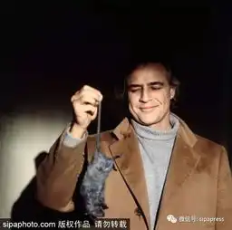 永远的黑帮教父让人又爱又恨的马龙白兰度