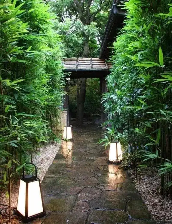 禅意的庭院