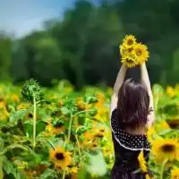 呼伦贝尔大草原