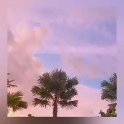 少女心泛滥的女生头像听说用了之后有好运,脱单必备